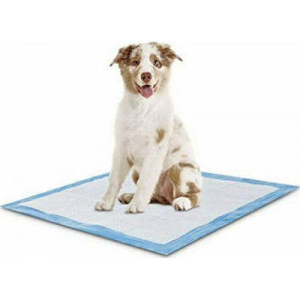 ΠΑΝΕΣ ΔΑΠΕΔΟΥ ΕΚΠΑΙΔΕΥΣΗΣ ΣΚΥΛΟΥ 5ΤΜΧ 45Χ35CM 30457-26